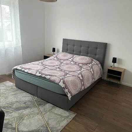 Vaste Avec Parking Gratuit, Borne Dispo Et Espace De Travail Illkirch-Graffenstaden