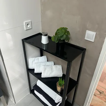 Vaste Avec Parking Gratuit, Borne Dispo Et Espace De Travail * Illkirch-Graffenstaden