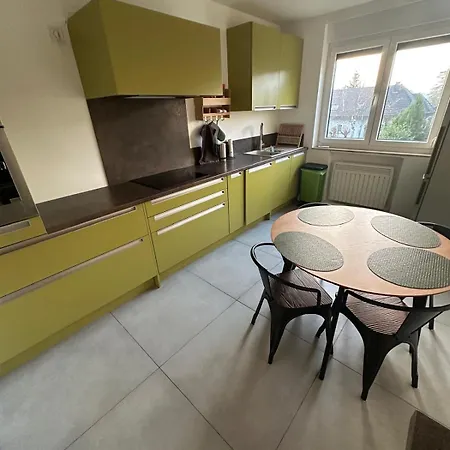 95M2 Family Apartment - Air Conditioning - Parking Free - Evcs - Strasbourg South * إلكيرك كرافونستاد